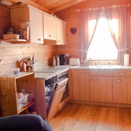 Ferienhaus Nr 10, Typ A, Feriendorf Jaegerpark, Bayerischer Wald Viechtach Extérieur photo